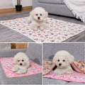 Miniatyrbilde 5 av 5: Hundteppe Kattteppe Vaskbar og myk 3-pakning myk varm fleece-dyreteppe for små og mellomstore hunder Katter Kjæledyrteppe Sovematte for sofa Paw