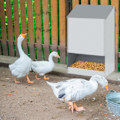Miniatyrbild 3 av 4: Automatisk foderautomat för höns - XMTECH - Galvaniserat stål - 23 kg - Skadedjursbeständig Vattentät - Silver Pengar