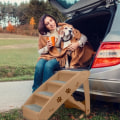 Miniatyrbild 4 av 4: XMTECH Hundtrappa Husdjursramp 4 steg - 49 x 38 x 61 cm - Brun - För hundar Brun