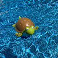 Miniatyrbild 9 av 11: Klordispenser för pool, flytande klordispenser för pool passar 3\" tabletter