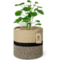 Miniatyrbild 1 av 4: Vävd bomullsrepkorg för 20 cm blomkruka golv inomhus krukor, 20 cm x 20 cm förvaringskorg organizer modern heminredning
