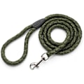 Miniatyrbilde 1 av 5: Hundeforing av nylon, tau for hunder, treningsforing for mellomstore og store hunder med rustfritt stålspenne, 1,5 m lang og 1,2 cm bred (grønn)