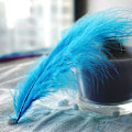 Miniatyrbillede 1 af 5: 50 stk. Fluffy Tyrkisk Marabou Fjer 10-15 cm Tyrkiske Fjer Dekorationstilbehør Til Smykker Tøj Bryllupsfjer DIY Håndværk Lake Blue Cashmere 1