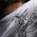 Pikkukuva 3 / 5: 100g Halloween-aiheiset tekoverkot koristeet Halloween-hämähäkinseitti koristeet juhlatarvikkeet sisä- ja ulkokäyttöön