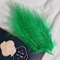 Miniatyrbillede 1 af 5: 50 stk. Fluffy Tyrkisk Marabou Fjer 10-15 cm Tyrkiske Fjer Dekorationstilbehør Til Smykker Tøj Bryllupsfjer DIY Håndværk 50 Green Cashmere
