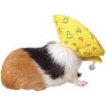 Miniatyrbild 3 av 4: Ifeng Hamster Cone E-krage Igel Elizabethanskrage Återhämtningshalsduk Andningsbar Mjuk Marsvin Amningskrage För Smådjur