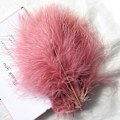 Miniatyrbillede 1 af 5: 50 stk. Fluffy Tyrkisk Marabou Fjer 10-15 cm Tyrkiske Fjer Dekorationstilbehør Til Smykker Tøj Bryllupsfjer DIY Håndværk Pink