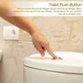 Pikkukuva 5 / 5: WC-istuimen painonappi, yksi huuhtelupainike, WC-vesisäiliön painike