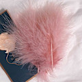 Miniatyrbillede 1 af 5: 50 stk. Fluffy Tyrkisk Marabou Fjer 10-15 cm Tyrkiske Fjer Dekorationstilbehør Til Smykker Tøj Bryllupsfjer DIY Håndværk Cameo Pink