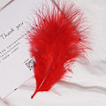 Miniatyrbillede 1 af 5: 50 stk. Fluffy Tyrkisk Marabou Fjer 10-15 cm Tyrkiske Fjer Dekorationstilbehør Til Smykker Tøj Bryllupsfjer DIY Håndværk 50 Red Cashmere