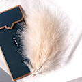 Miniatyrbillede 1 af 5: 50 stk. Fluffy Tyrkisk Marabou Fjer 10-15 cm Tyrkiske Fjer Dekorationstilbehør Til Smykker Tøj Bryllupsfjer DIY Håndværk Pieces of Champagne