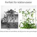 Miniatyrbild 7 av 7: Självhäftande växtfästen - Smarta osynliga växtklämmor 100-pack 100-Pack