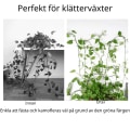 Miniatyrbillede 7 af 7: Selvklæbende planteholdere - Smarte usynlige planteclips 100-pak 100-Pack