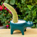 Miniatyrbilde 3 av 5: Sukulentplanter Potter i 2 farger Keramikk, Dekorativ Keramisk Blomsterpotte med Drenering, For