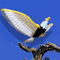 Miniatyrbild 2 av 5: Falsk Flygande Hök Dekoj Fågelavskräckande Enheter Skräms Fågel Bort Duva Avstötande För Trädgård with light music