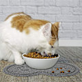 Miniatyrbillede 5 af 5: Fodermåtte til kæledyr, vandtæt skridsikker hundeskål måtte til kat og hund