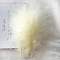 Miniatyrbillede 1 af 5: 50 stk. Fluffy Tyrkisk Marabou Fjer 10-15 cm Tyrkiske Fjer Dekorationstilbehør Til Smykker Tøj Bryllupsfjer DIY Håndværk 50 Beige Cashmere