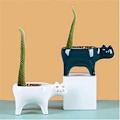 Miniatyrbilde 2 av 5: Sukulentplanter Potter i 2 farger Keramikk, Dekorativ Keramisk Blomsterpotte med Drenering, For