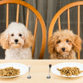 Miniatyrbillede 4 af 4: 2 stk. Hunde- og katteske, kæledyrsske i rustfrit stål, kæledyrsmadsske til kat