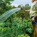 Pikkukuva 5 / 5: Laajennettava puutarhaletkun liitin Laajennettava Laajennettava puutarhaletkun liitin Pikaliittimet Hana ja suihkulaite (2 sarjaa)