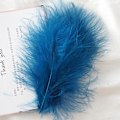 Miniatyrbillede 1 af 5: 50 stk. Fluffy Tyrkisk Marabou Fjer 10-15 cm Tyrkiske Fjer Dekorationstilbehør Til Smykker Tøj Bryllupsfjer DIY Håndværk Peacock Blue