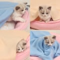Miniatyrbillede 5 af 5: Fluffy Katte- og Hunde tæppe Blødt kæledyr tæppe Seng Betræk Fleece Hvalp Tæppe Sove Måtte Pad Til Store Mellem Små Hunde Karamel Lille