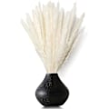 Pikkukuva 5 / 5: Kuivattu Pampas-ruoho, luonnollinen Pampas-ruoho kuivattu Pampas, Pampas-ruoho luonnollinen, Dri