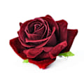 Miniatyrbilde 1 av 5: 1 stk Hårklype Gjenbrukbar Roseblomstform Metall Roseblomst Hårklyper for Dating Qinhai Wine Red