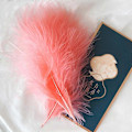 Miniatyrbild 4 av 5: 50 st fluffiga kalkon Marabou fjädrar 10-15 cm kalkonfjädrar dekorationsaccessoarer för smycken kläder bröllopsplymer DIY hantverk 50 Red Cashmere