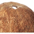 Miniatyrbillede 3 af 4: (13*6cm) 100% Naturlig Kokosnød Hus Til Krybdyr/padder
