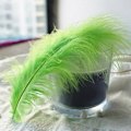 Miniatyrbillede 1 af 5: 50 stk. Fluffy Tyrkisk Marabou Fjer 10-15 cm Tyrkiske Fjer Dekorationstilbehør Til Smykker Tøj Bryllupsfjer DIY Håndværk Light Green Cashmere