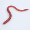 Miniatyrbild 6 av 8: 18cm 5g Simulerad insekt modell TPR mjukt gummi smådjur pse 1#
