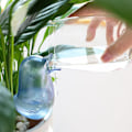 Miniatyrbild 3 av 6: Fågel Automatisk Självbevattning Växter Watering Globe Blue