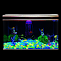 Miniatyrbild 4 av 7: 100st/påse blandad färg utomhus lysande stenar Glow In Dark Gar A3