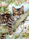 30x40cm Katt 5D Diamantmålning Strassbroderi Canvas