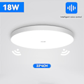 Miniatyrbillede 1 af 5: Bevægelsessensor Loftslampe Moderne Smart Home Indendørs Korridor Led Hængende