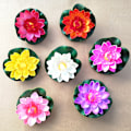 Pikkukuva 1 / 4: 8 kpl Keinotekoisia kelluvia lumpeita Eva Lotus -koristeita 10 cm (punainen/keltainen/sininen/vaaleanpunainen/vaaleanpunainen/valkoinen/violetti/oranssi) Seven Colors