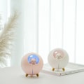 Miniatyrbild 4 av 5: Vit vacker husdjursluftfuktare 220ml planetarisk katt ultraljud