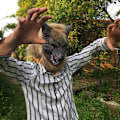 Miniatyrbild 7 av 7: skräck djävul bal full huvud halloween mask varg handskar cosplay w