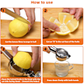 Miniatyrbillede 2 af 5: Citruspresser Citronpresser Fremstillet Af Stærkt 18/10 Rustfrit Stål