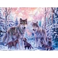 Pikkukuva 1 / 5: 30x40cm, lumikettu 5d timanttimaalattu strassi-kirjonta kanva