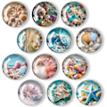 Pikkukuva 1 / 5: (30mm) 12 kpl Ocean Shells -jääkaappimagneetti, Pyöreä Koristeellinen Jääkaappimagneetti, 3D Jääkaappimagneetti, Lasten Jääkaappimagneetti