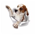 Pikkukuva 1 / 4: 3D Koira Tarrat - 2 Pakkausta - Kurkottava Beagle Tarra Seinälle, Jääkaappiin, WC:hen ja Muualle Beagle Tarrat 25*25CM