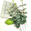 Miniatyrbillede 2 af 5: 30 stk. imiteret enkelt stykke penge blad eukalyptus