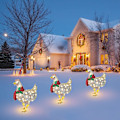 Miniatyrbillede 5 af 5: Lysende kylling, dekorativ havebunke LED juleornament