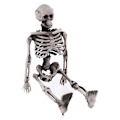 Miniatyrbillede 2 af 5: Halloween mini skelet kostume simulation kranie skelet spøgelse