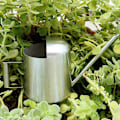 Miniatyrbillede 3 af 4: Tyk børstet rustfrit stål vandkande 500ml lang tud mini