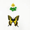 Miniatyrbillede 3 af 3: 1 stk. Kattelegetøj Elektrisk Fugl Rundt Blomster Kæledyr Legetøj Flyvende C