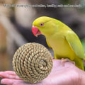 Miniatyrbillede 3 af 5: Kæledyrs Rattan Bold Legetøj Naturligt Sikker Kæledyr Legetøj Papegøje Legetøj Bold R