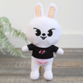 Pikkukuva 1 / 4: 1 kpl 20cm Stray Kids Skzoo pehmolelu lelut Sarjakuva anime Dol